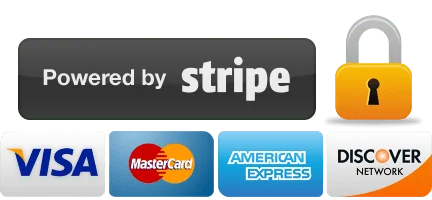 stripe-Secure-payments-1.webp