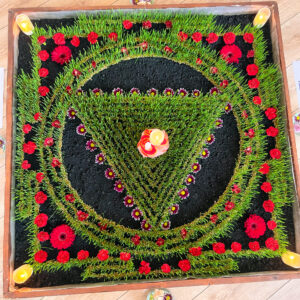 cursuri de yoga cu profesori acreditati - România