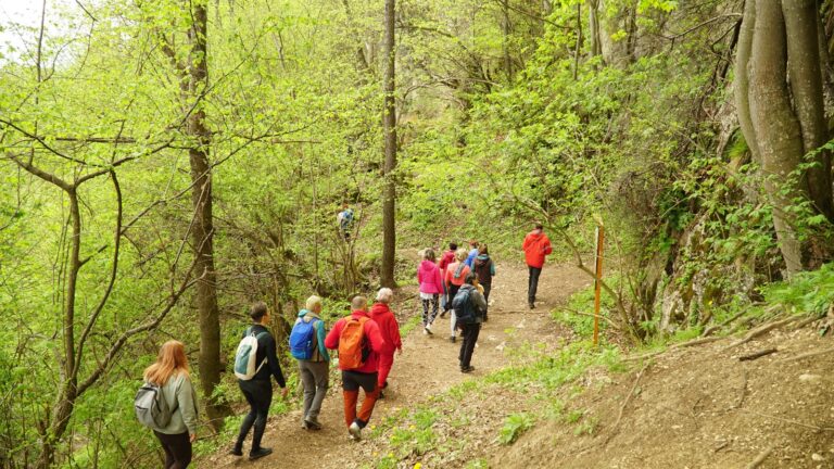 Grup mergând pe o potecă prin pădure, primăvara